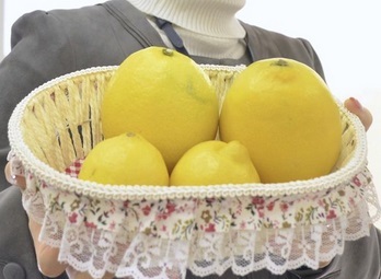Japanese lemon